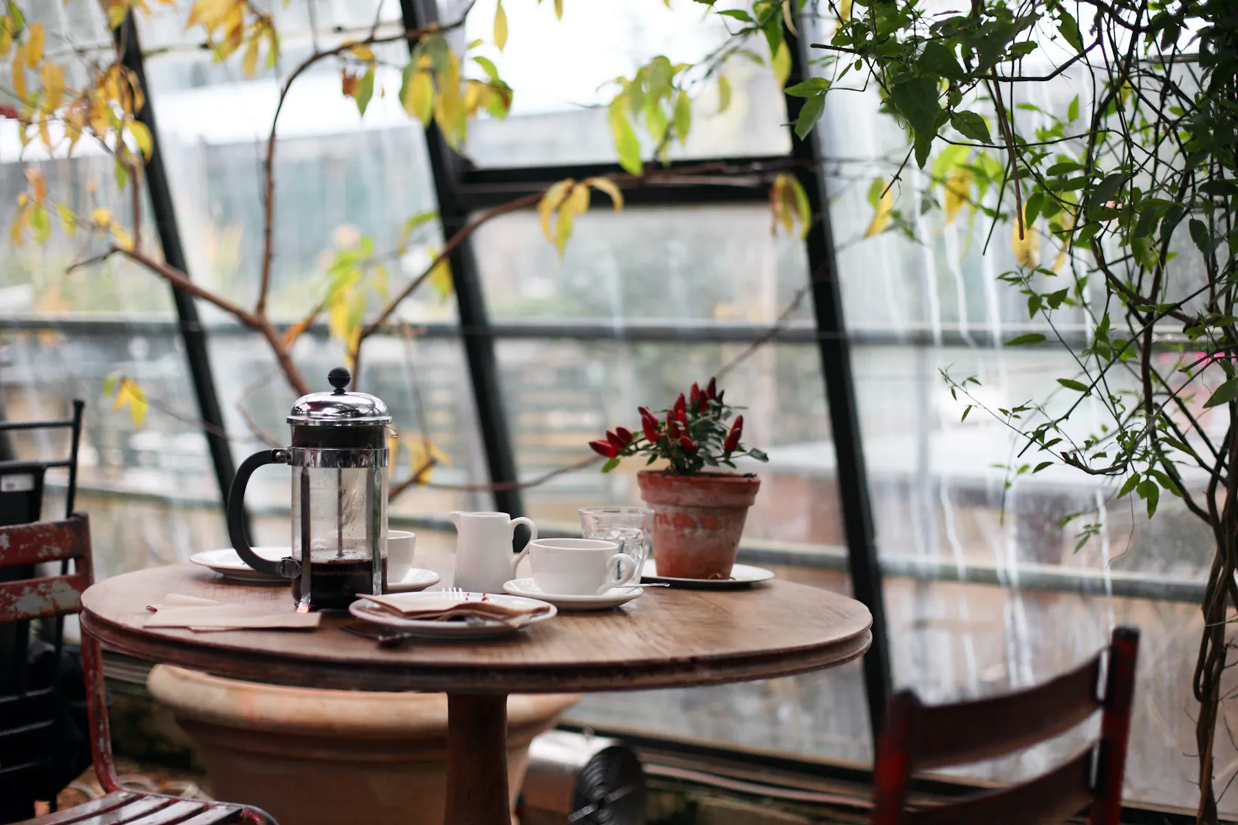Mesa de café y brunch rodeada de plantas en Maison Lúa